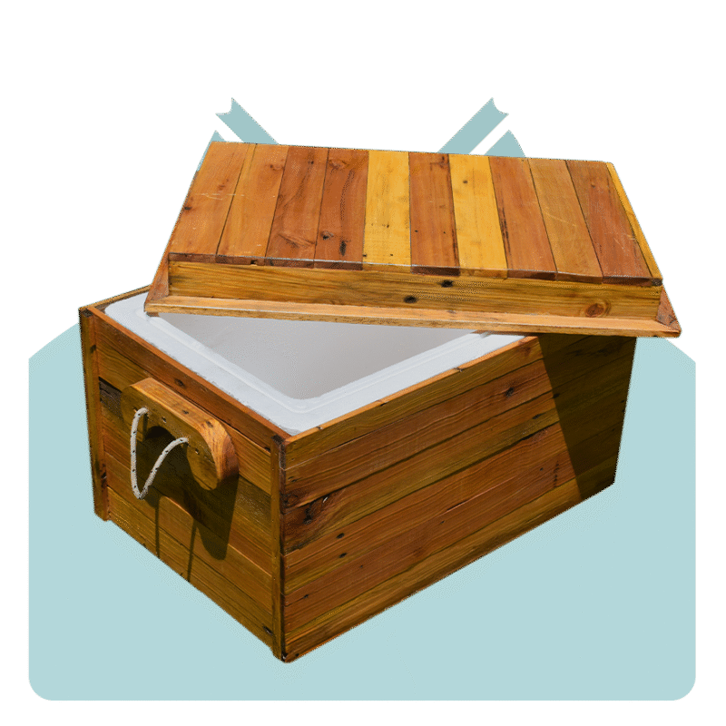 Conservadora reciclada