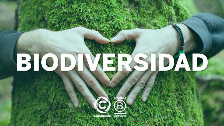 Biodiversidad: el nuevo episodio del Ciclo de Formación Ambiental
